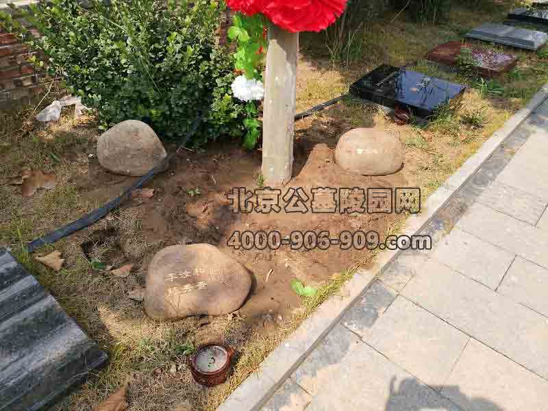 5600清颐园人文纪念园-树葬.jpg
